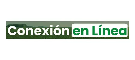 conexion en linea logo